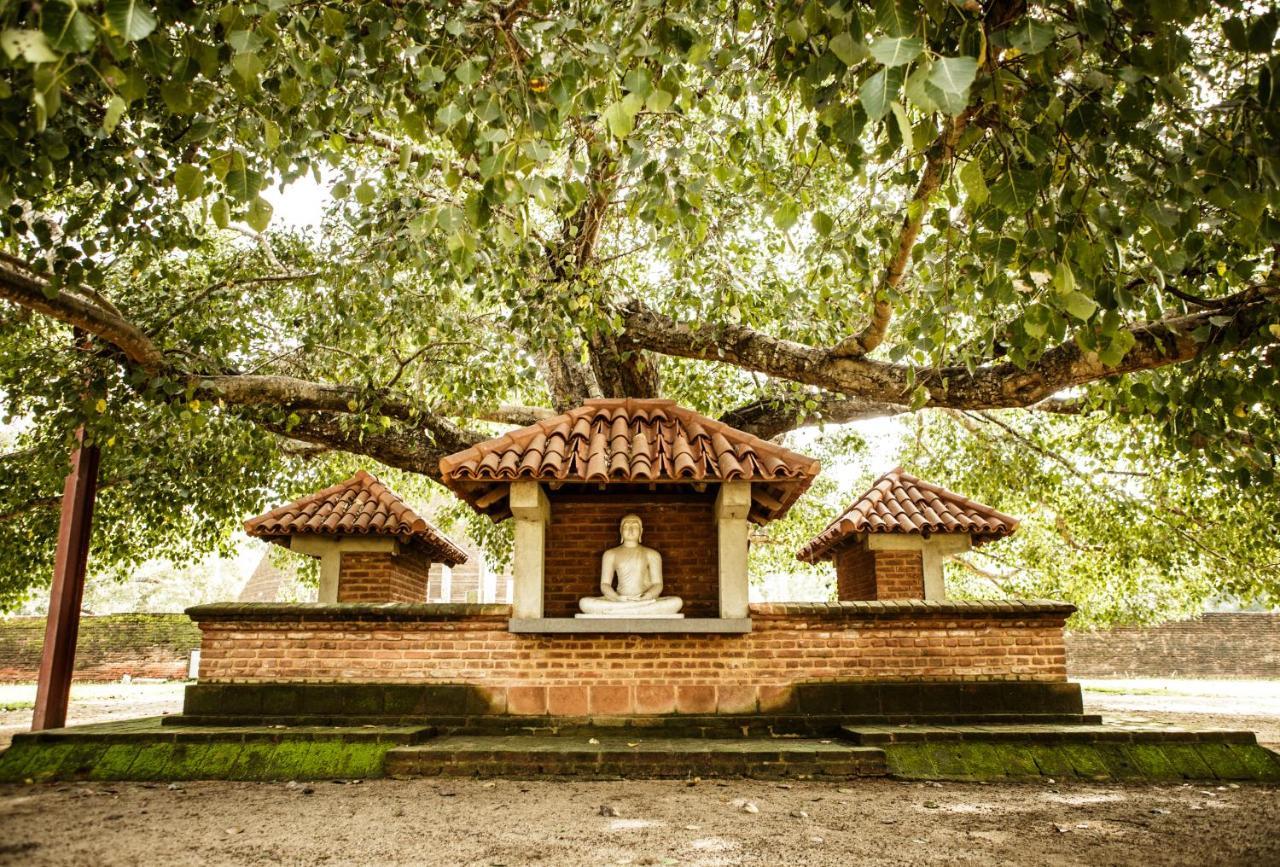 Thaulle Ayurveda Resort - Yala Тіссамахарама Екстер'єр фото