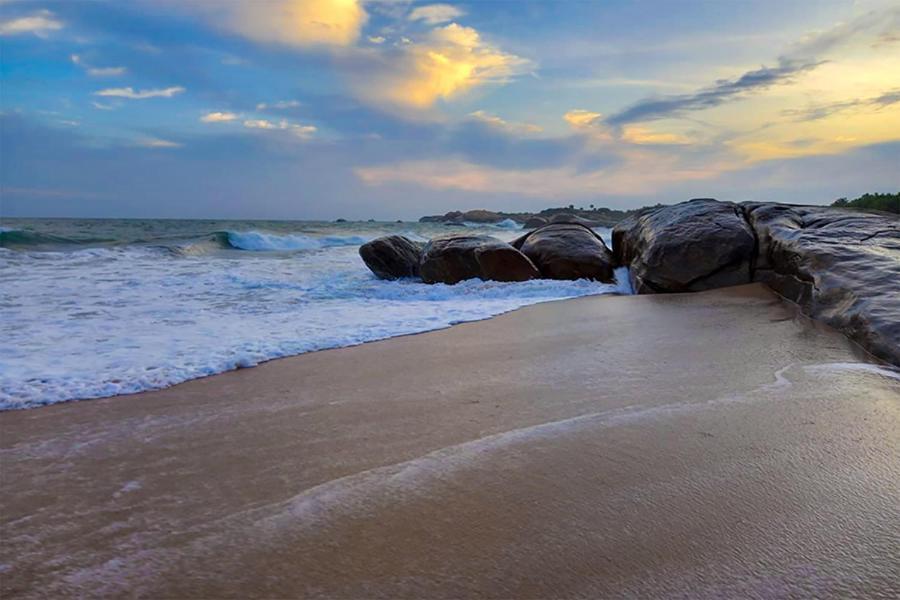 Thaulle Ayurveda Resort - Yala Тіссамахарама Екстер'єр фото